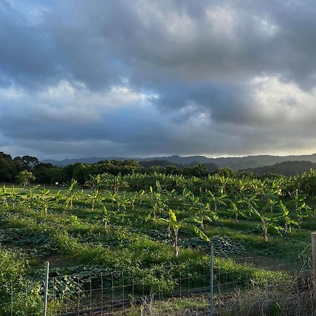 North Shore Glamping Camping Laie, Oahu, Hawaii Exterior foto
