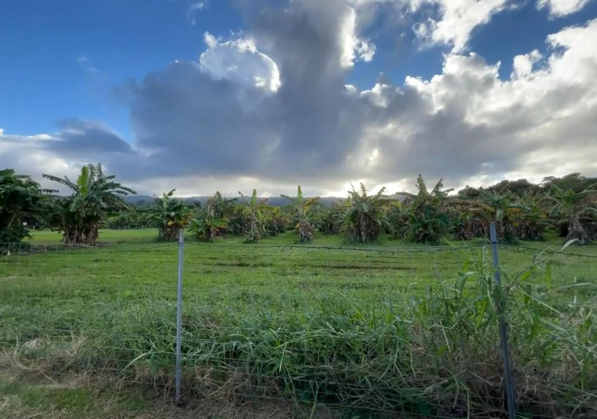 North Shore Glamping Camping Laie, Oahu, Hawaii Exterior foto